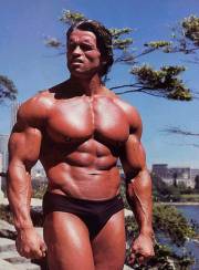 Arnold Schwarzenegger 0001