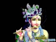 Krishna 03