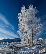 Beautiful Blue Winter Sky