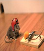 Funny Mouse