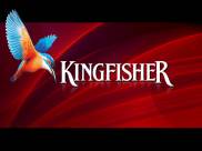 Kingfisher Calendar  2010 0012