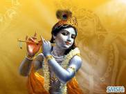 Krishna 15