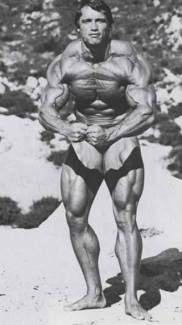 Arnold Schwarzenegger 0011