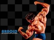 Arnold Schwarzenegger 0007