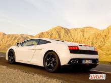 Lamborghini White Back