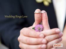 Wedding Rings Love